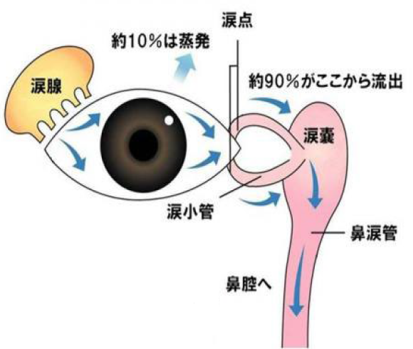 涙の障害と排出